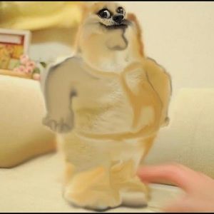 Meet your Posher, Miguel